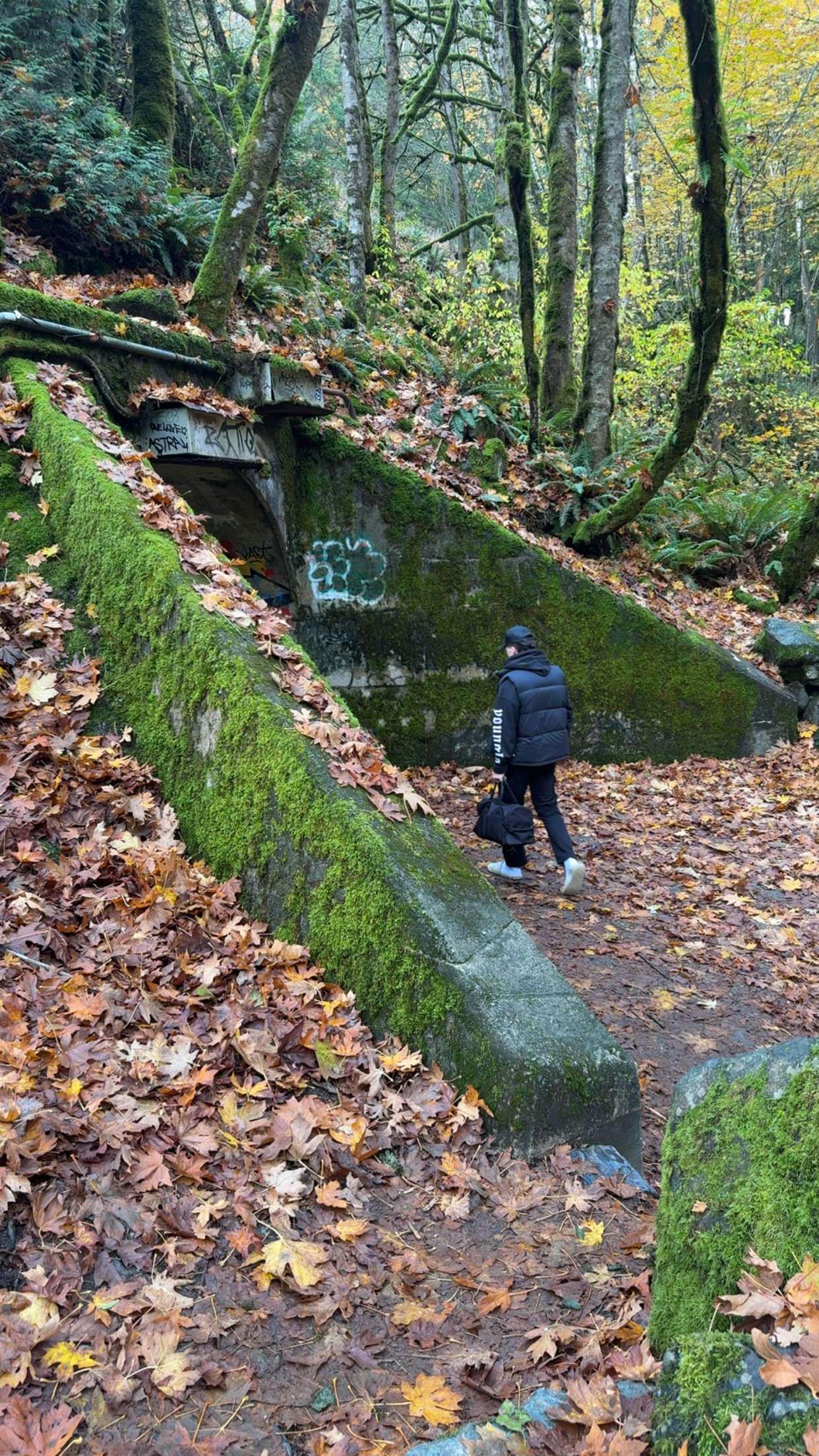 meelahrobbins snapchat image archive image