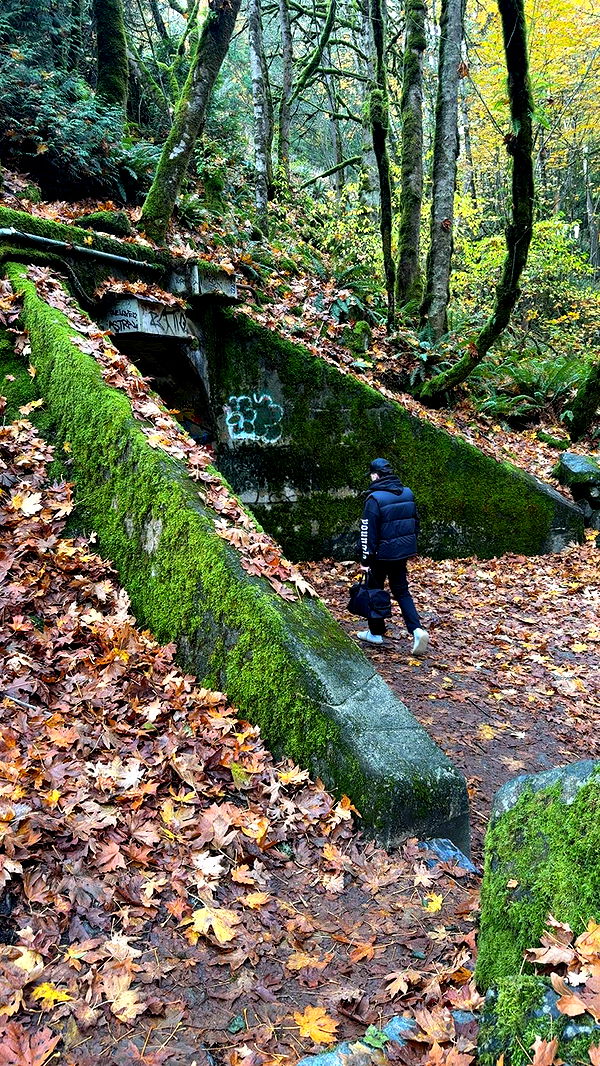 meelahrobbins image ~ Altpins