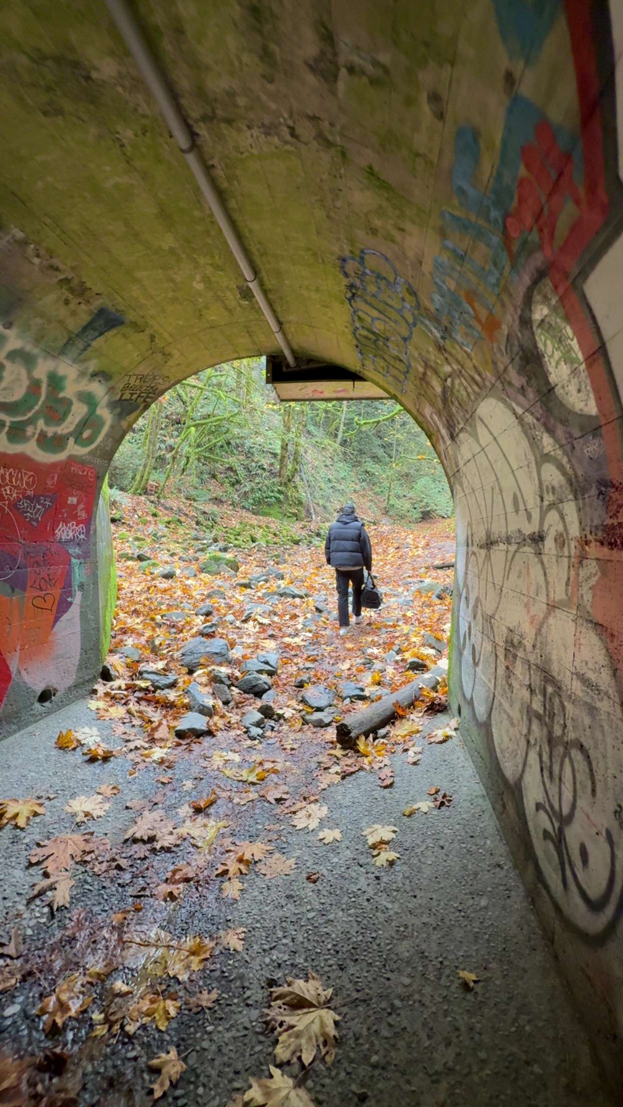 meelahrobbins snapchat image archive image