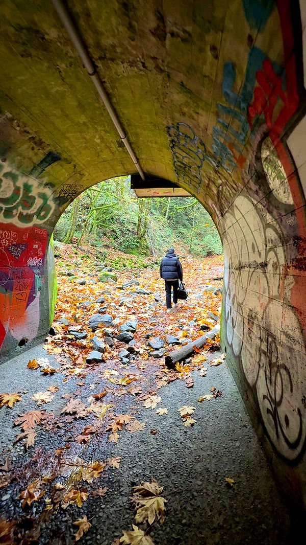 meelahrobbins image ~ Altpins