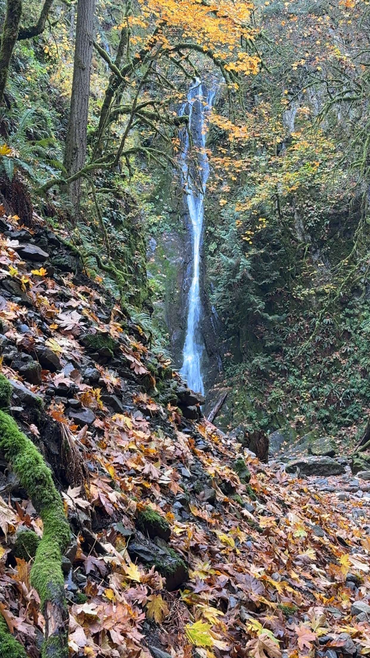 meelahrobbins snapchat image archive image