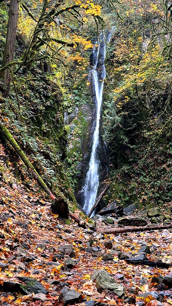 meelahrobbins image ~ Altpins