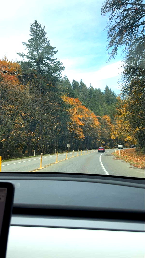 meelahrobbins image ~ Altpins