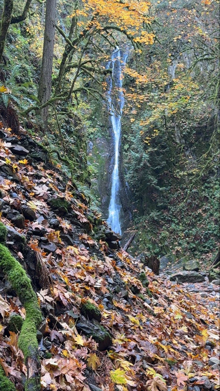 meelahrobbins snapchat image archive image