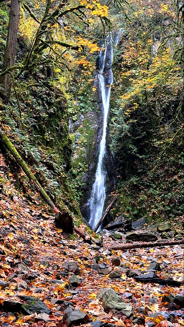 meelahrobbins image ~ Altpins