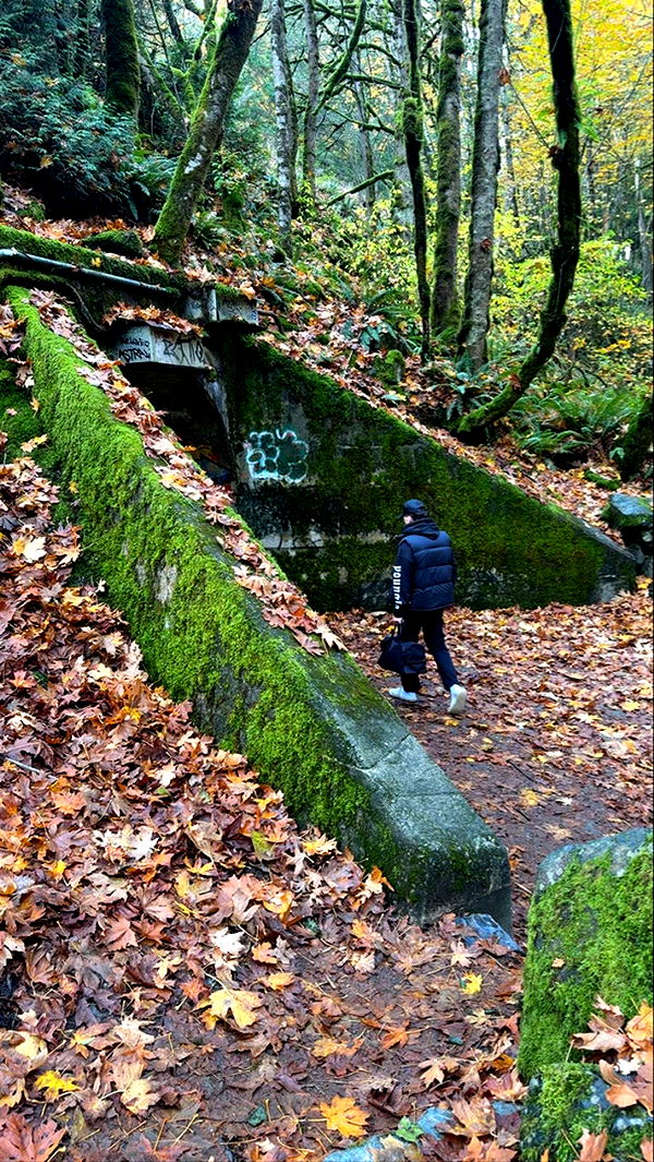 meelahrobbins image ~ Altpins