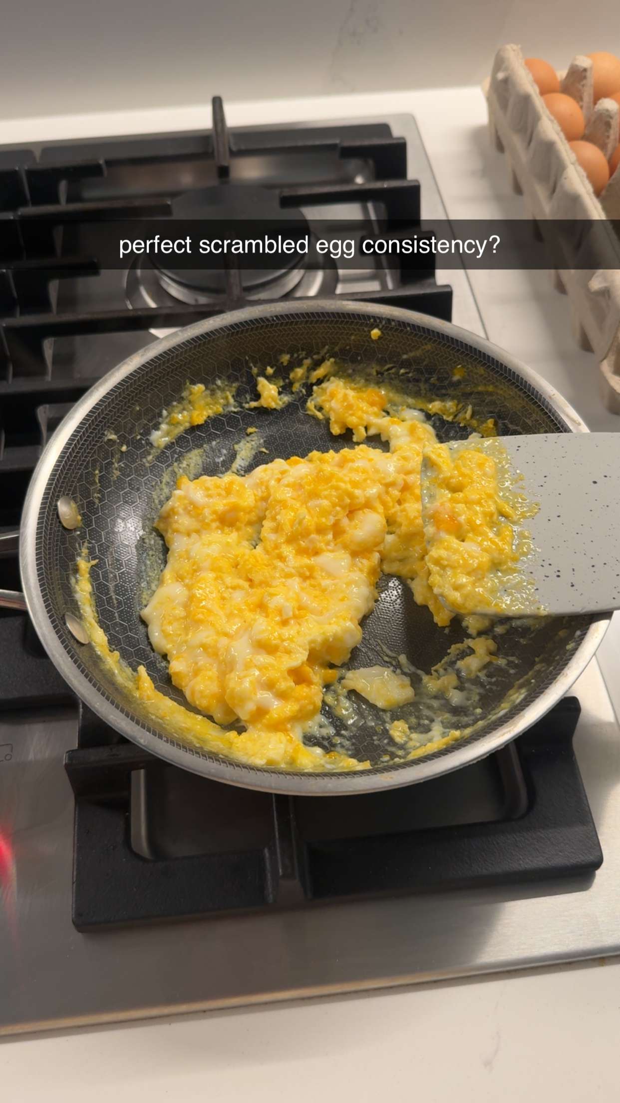 meelahrobbins snapchat image archive image