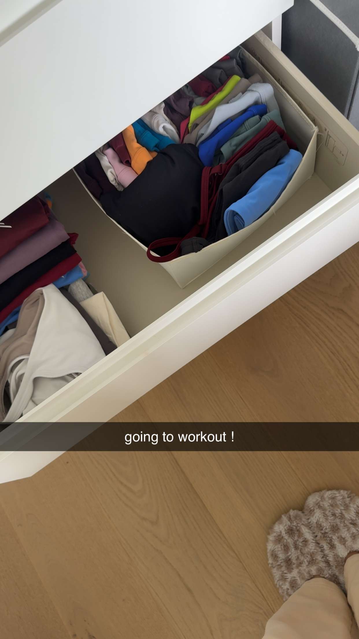 meelahrobbins snapchat image archive image