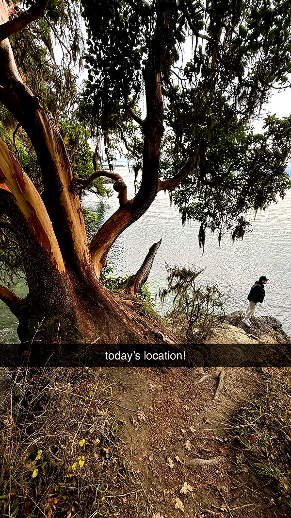 meelahrobbins image ~ Altpins