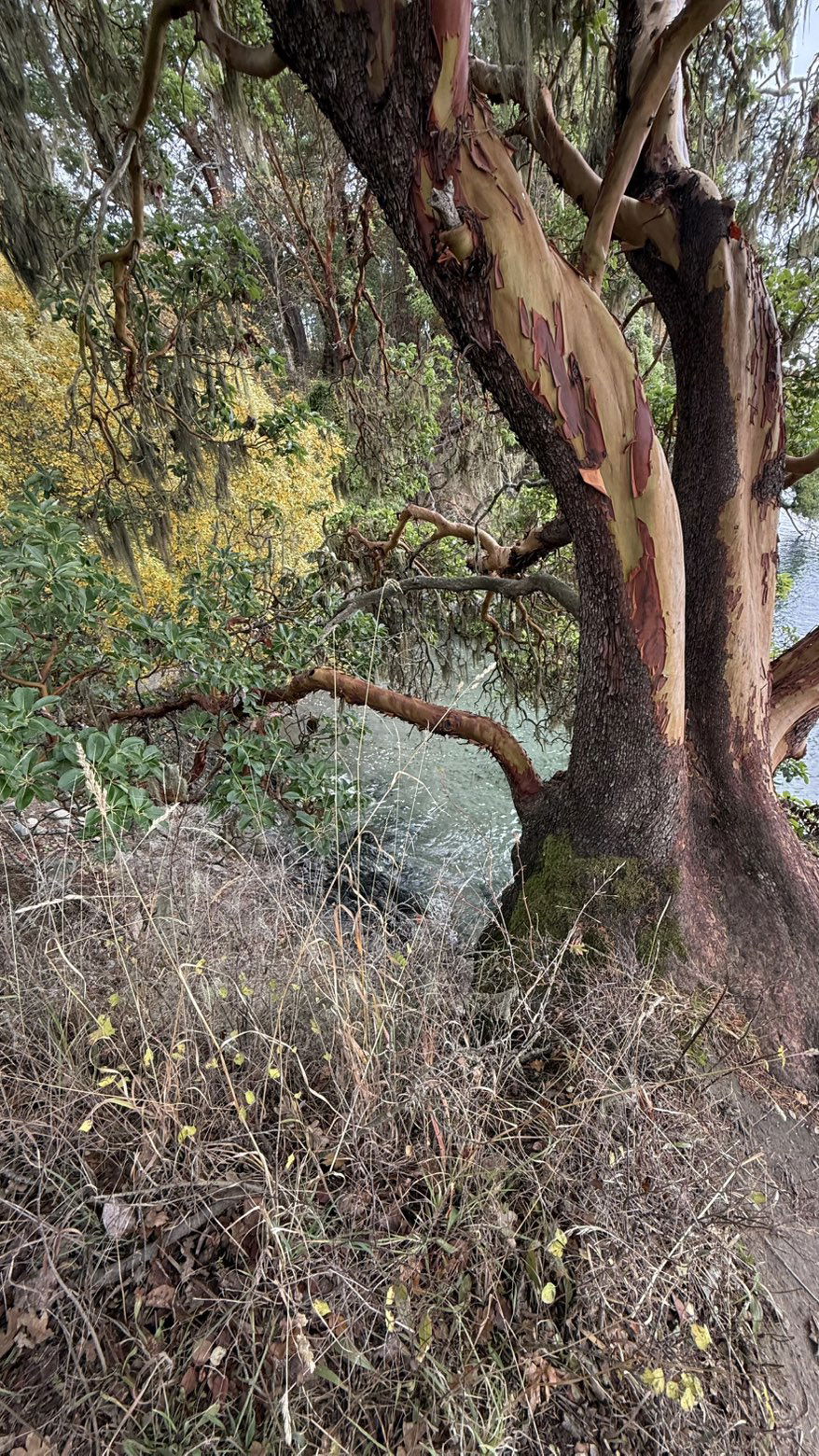 meelahrobbins snapchat image archive image