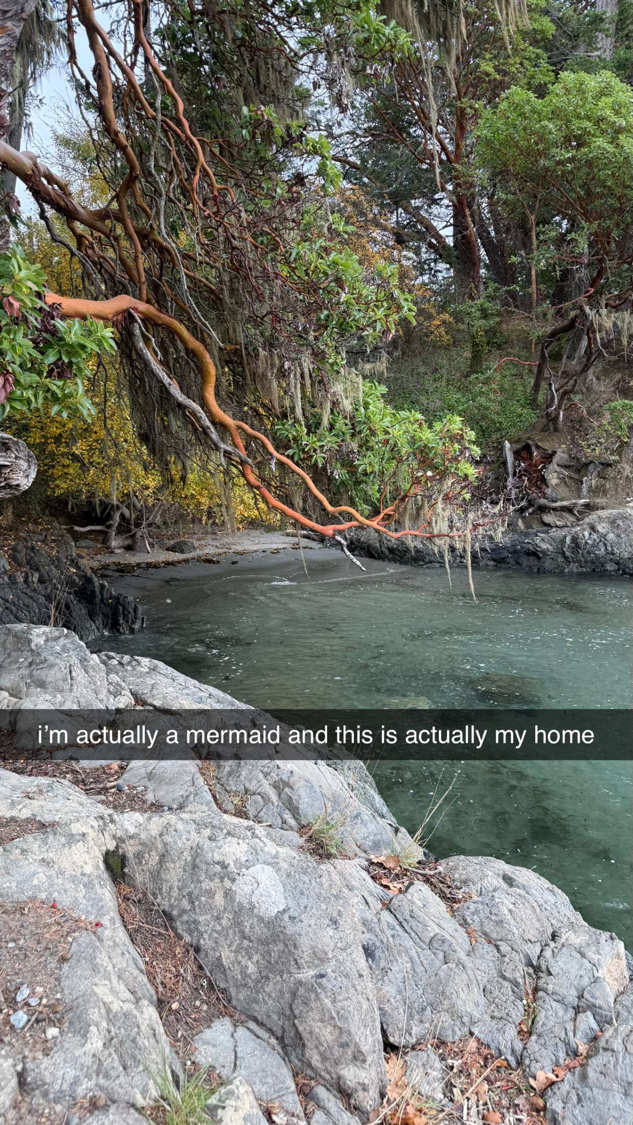 meelahrobbins snapchat image archive image