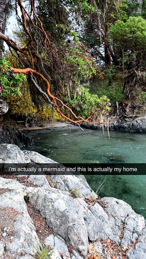 meelahrobbins image ~ Altpins