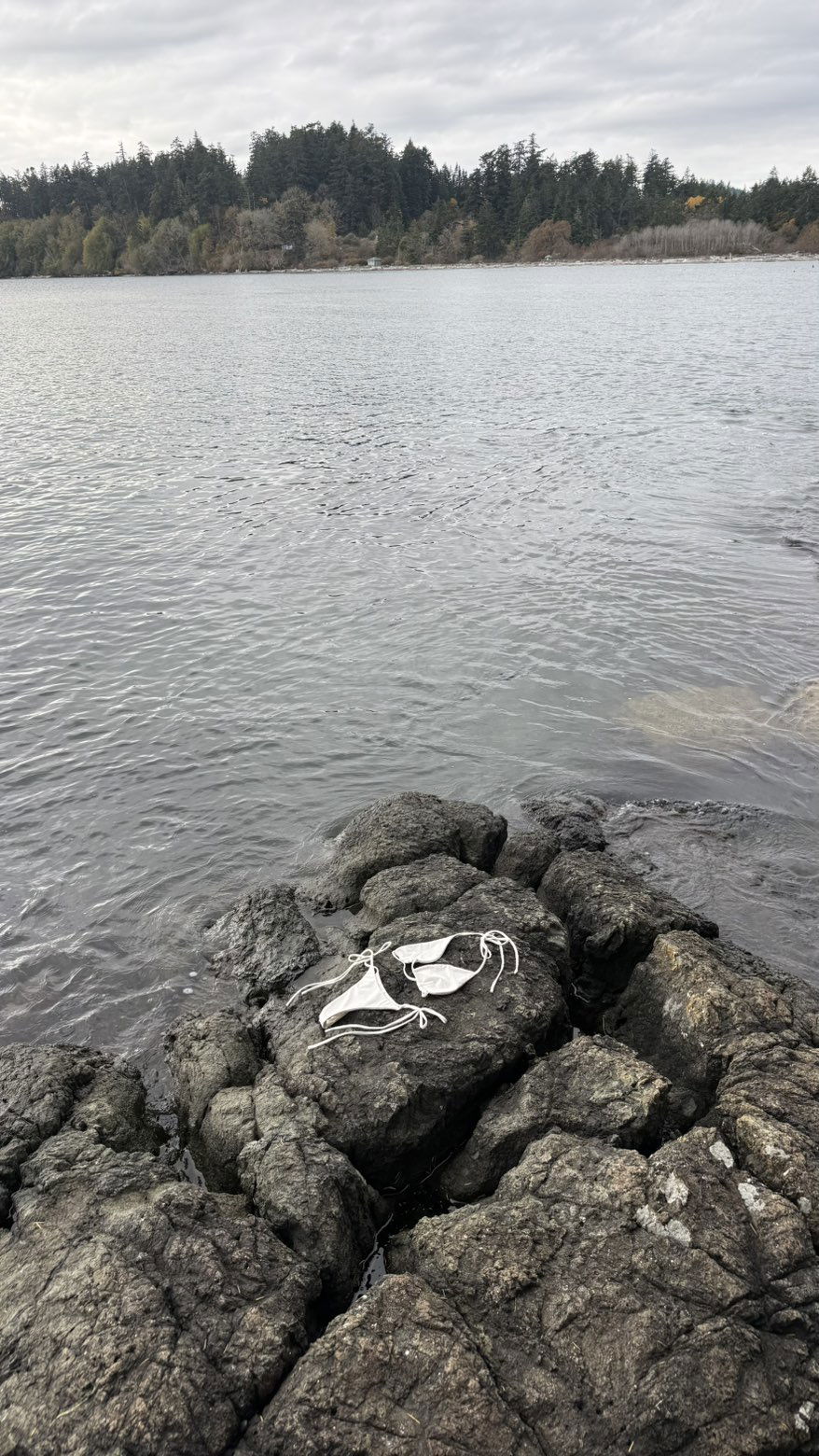 meelahrobbins snapchat image archive image