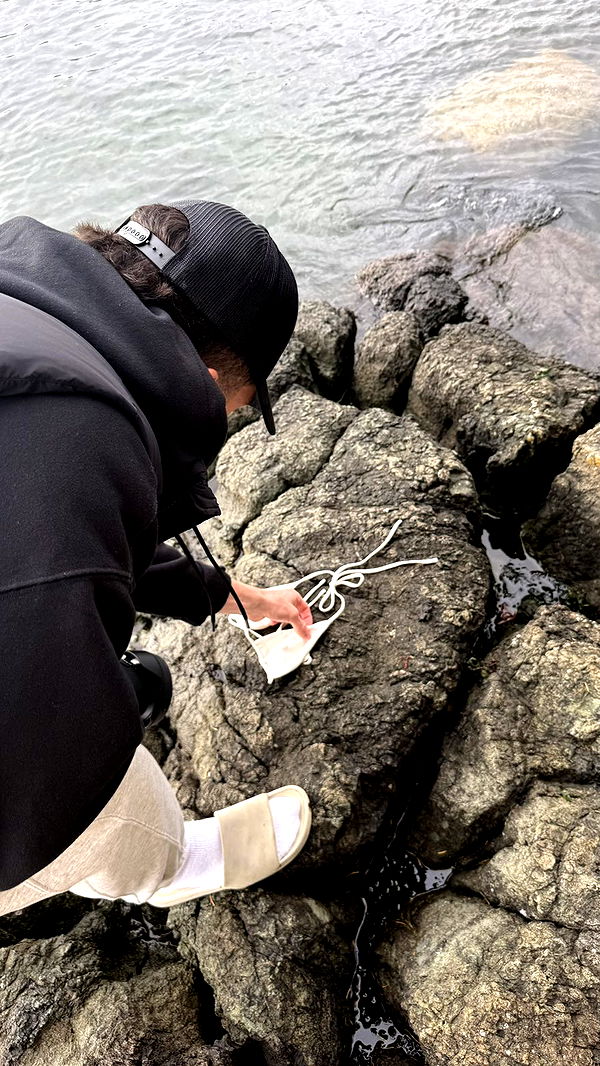 meelahrobbins image ~ Altpins