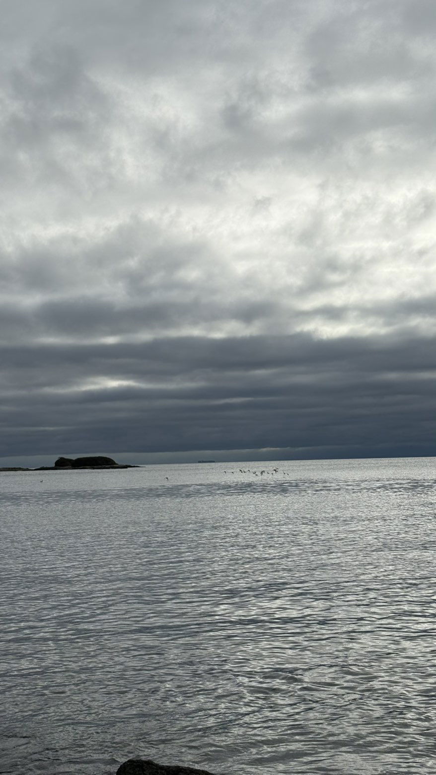 meelahrobbins snapchat image archive image