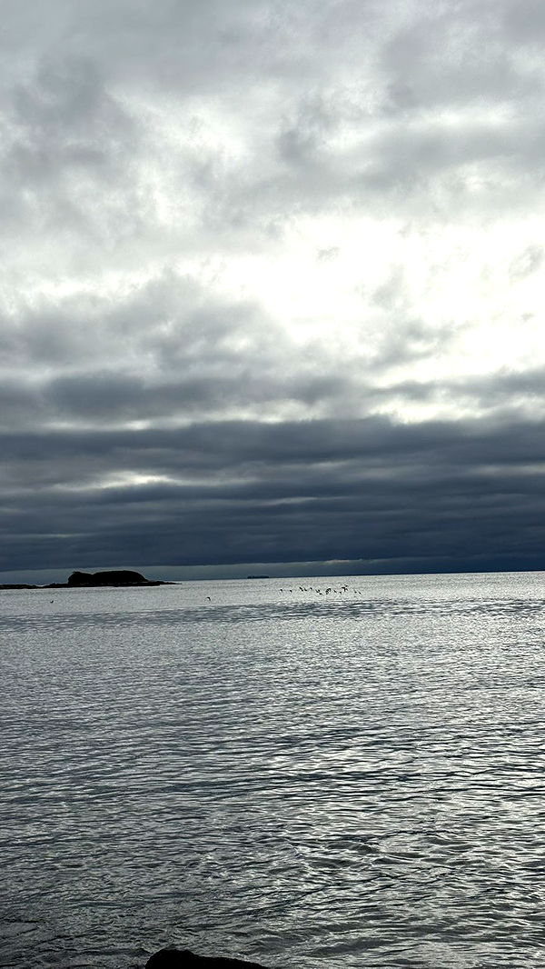 meelahrobbins image ~ Altpins