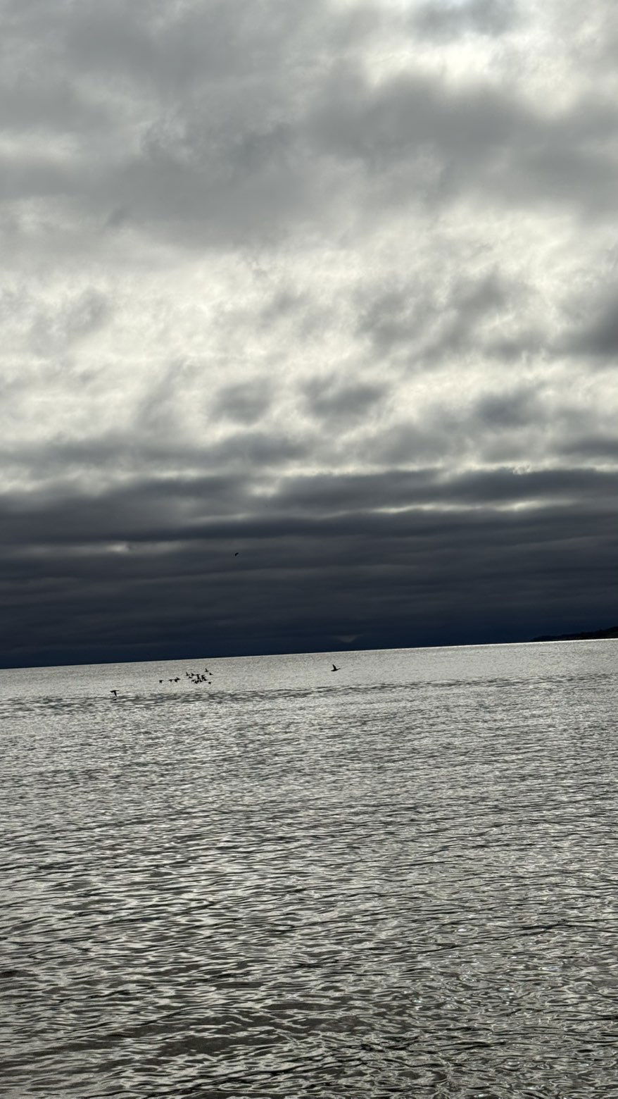 meelahrobbins snapchat image archive image