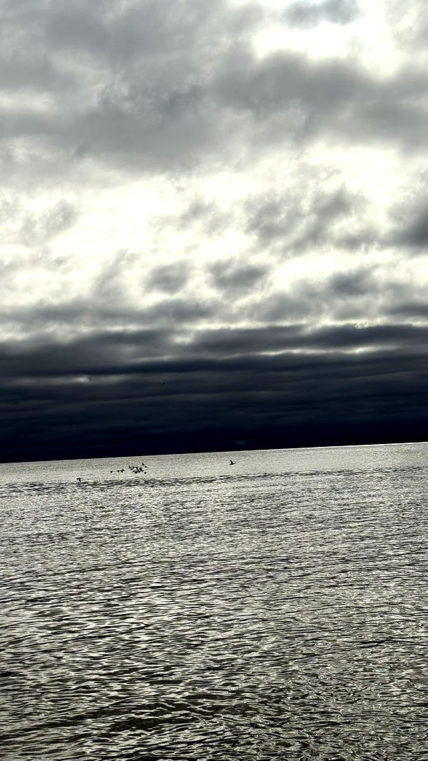 meelahrobbins image ~ Altpins