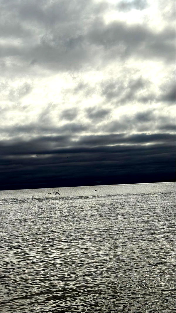 meelahrobbins image ~ Altpins