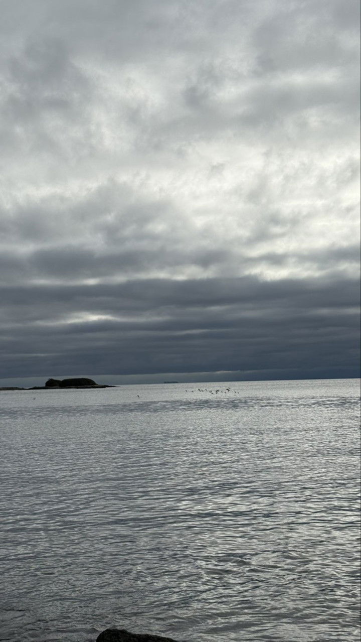 meelahrobbins snapchat image archive image