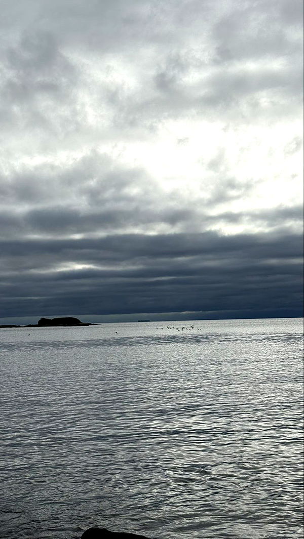 meelahrobbins image ~ Altpins