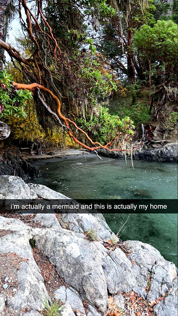 meelahrobbins image ~ Altpins