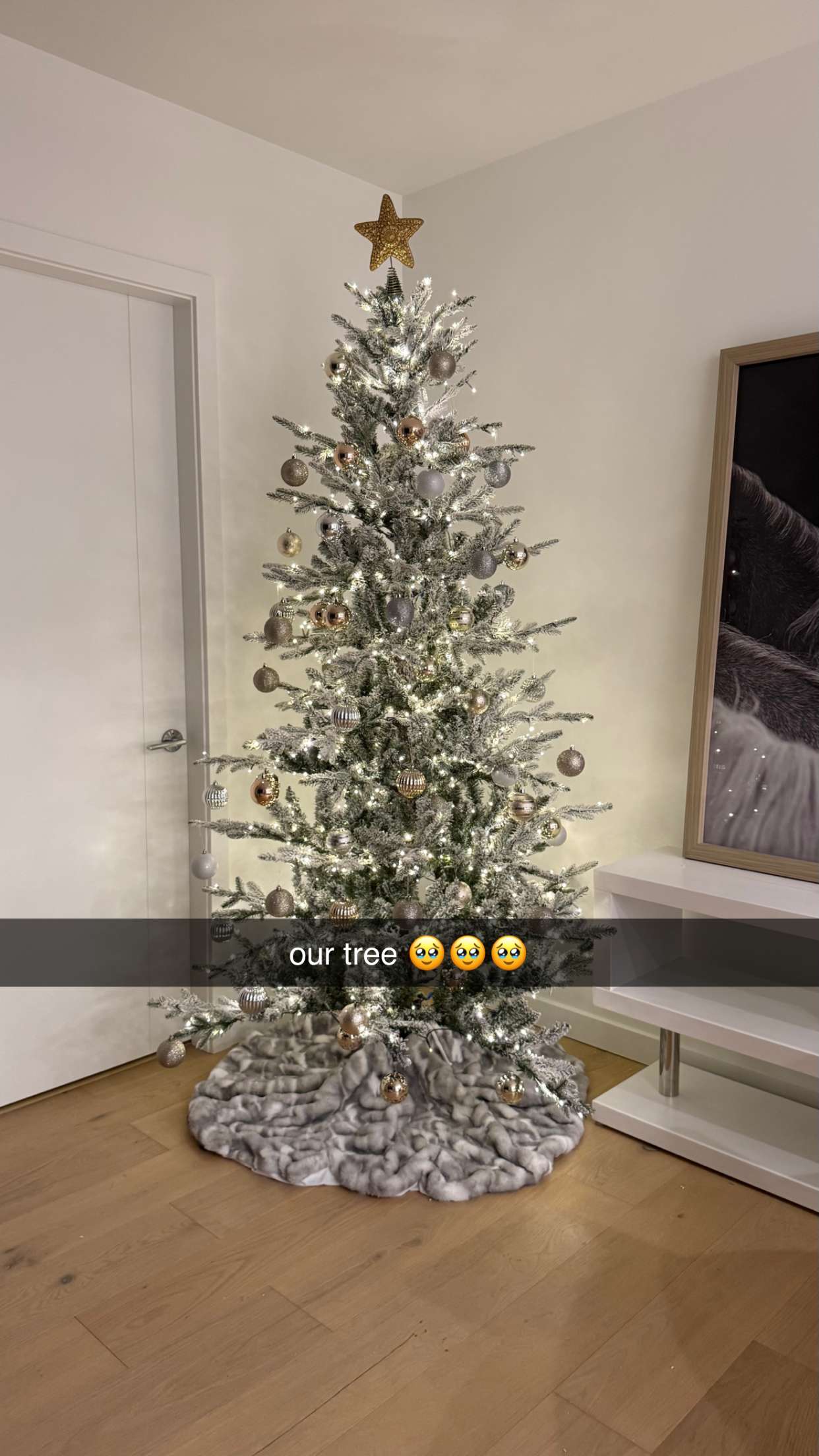 meelahrobbins snapchat image archive image