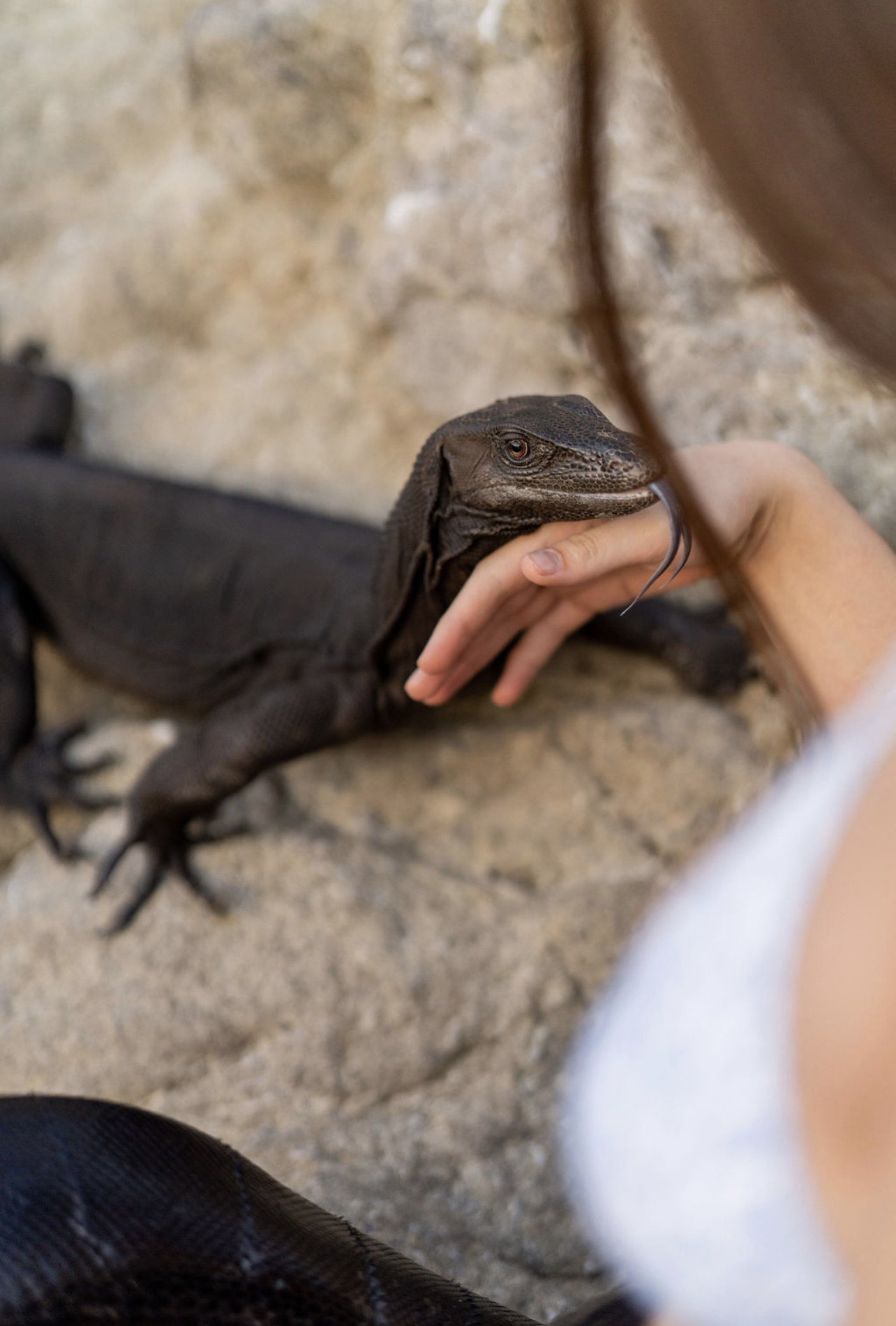 meelahrobbins snapchat image archive image