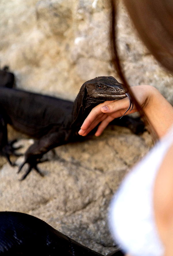 meelahrobbins image ~ Altpins