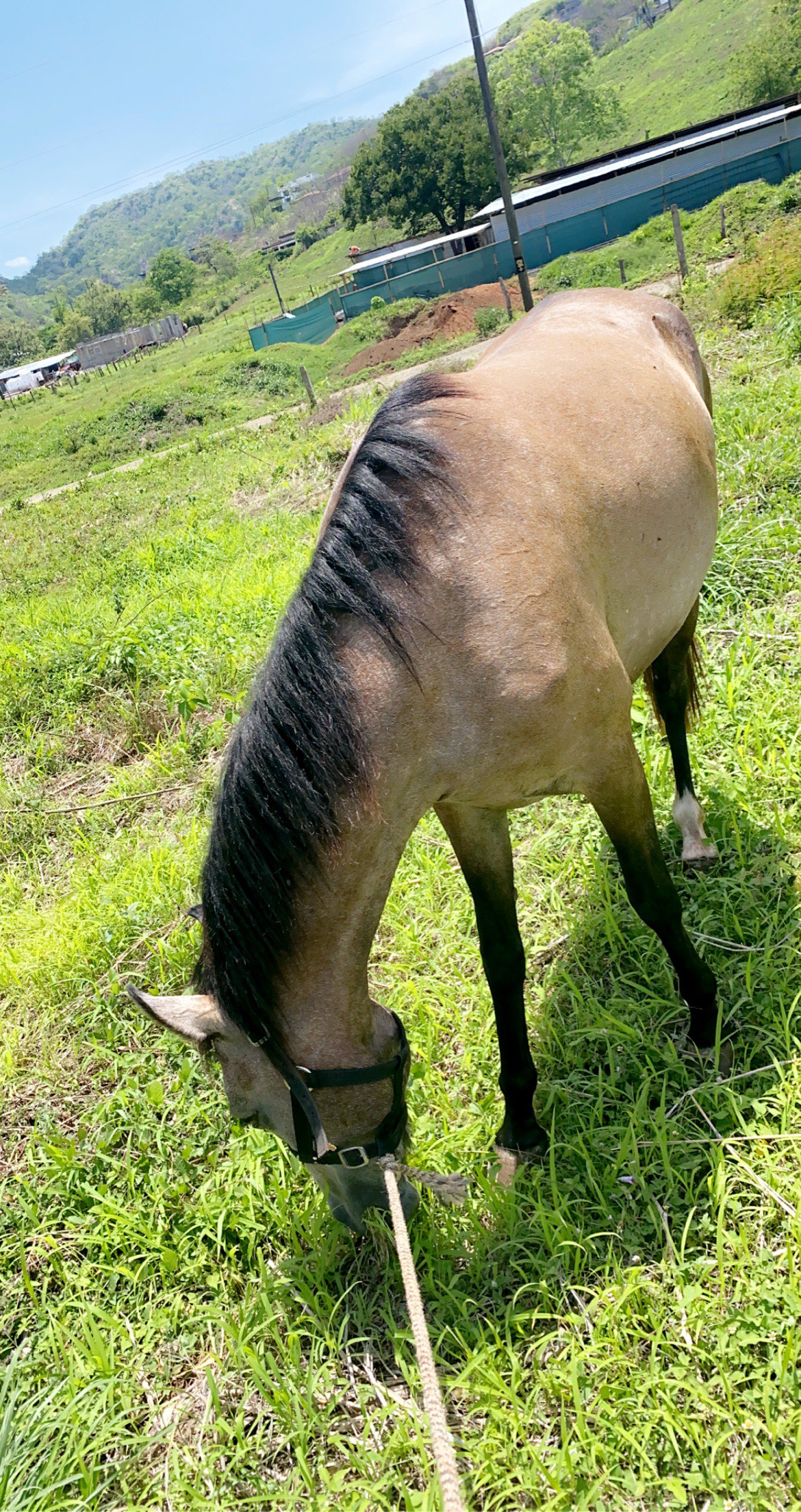 meelahrobbins snapchat image archive image