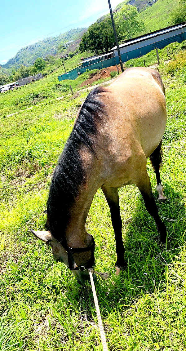 meelahrobbins image ~ Altpins