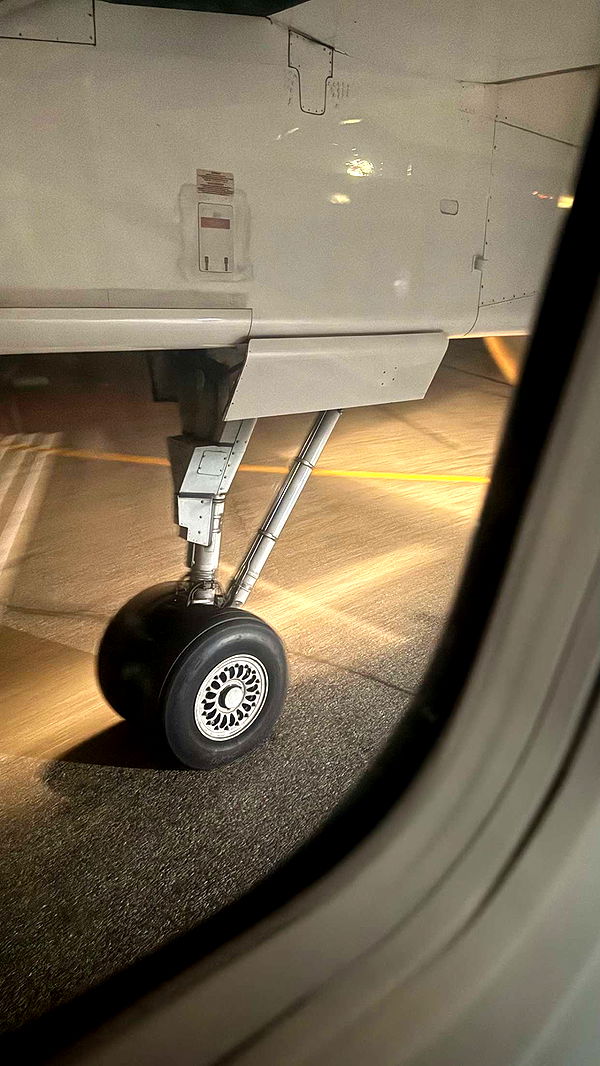 meelahrobbins image ~ Altpins