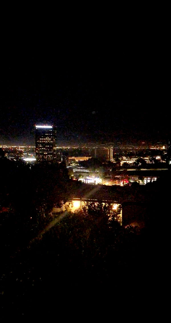 mia_sweitz image ~ Altpins