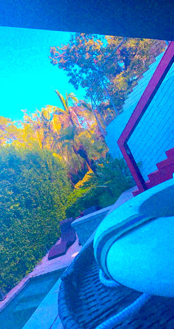 mia_sweitz image ~ Altpins