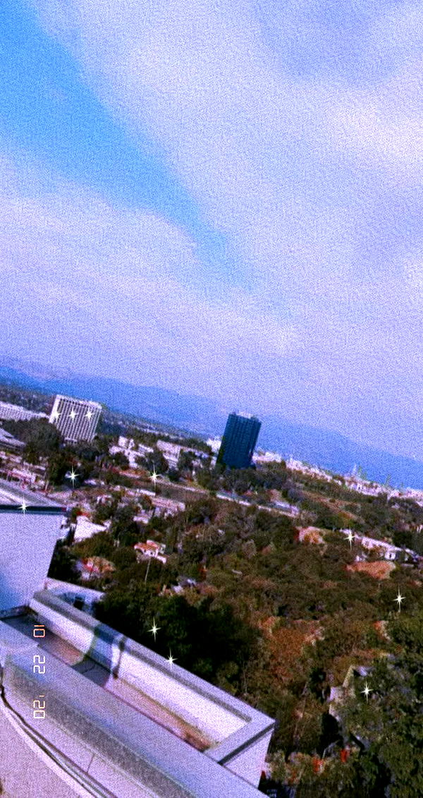 mia_sweitz image ~ Altpins