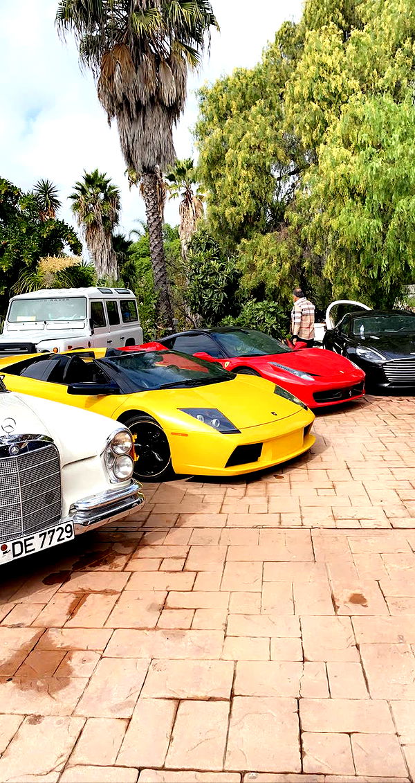 mia_sweitz image ~ Altpins