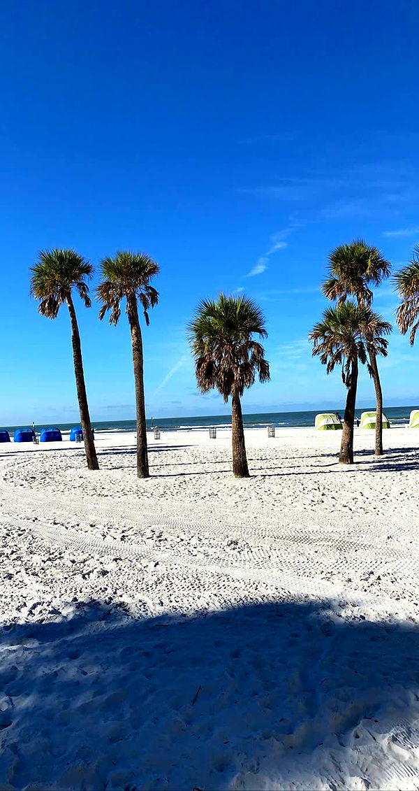 mia_sweitz image ~ Altpins