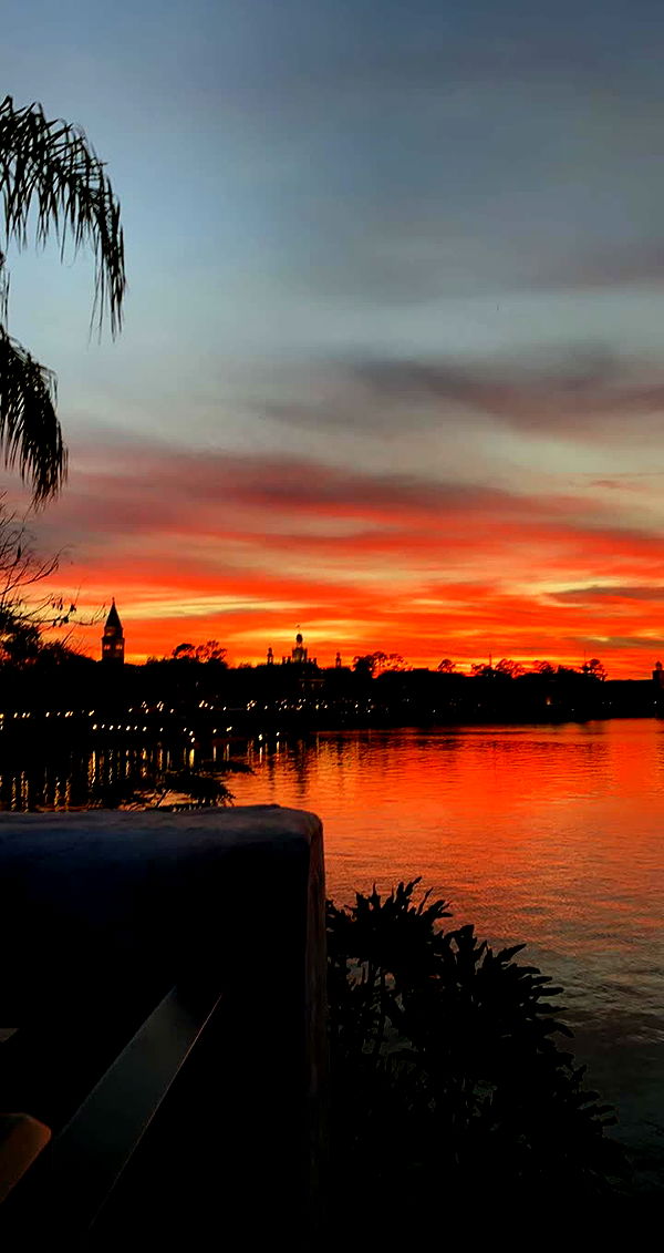 mia_sweitz image ~ Altpins