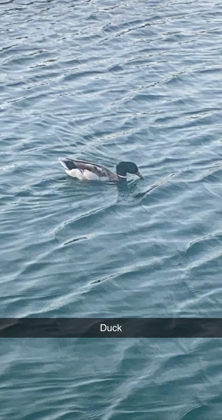 mia_sweitz snapchat image archive image