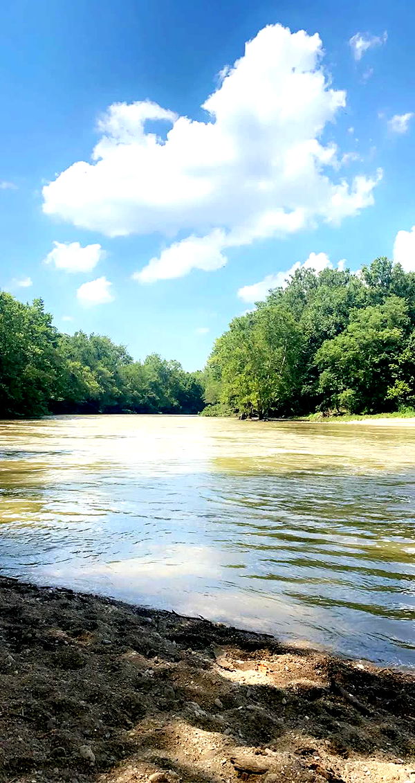 mia_sweitz image ~ Altpins