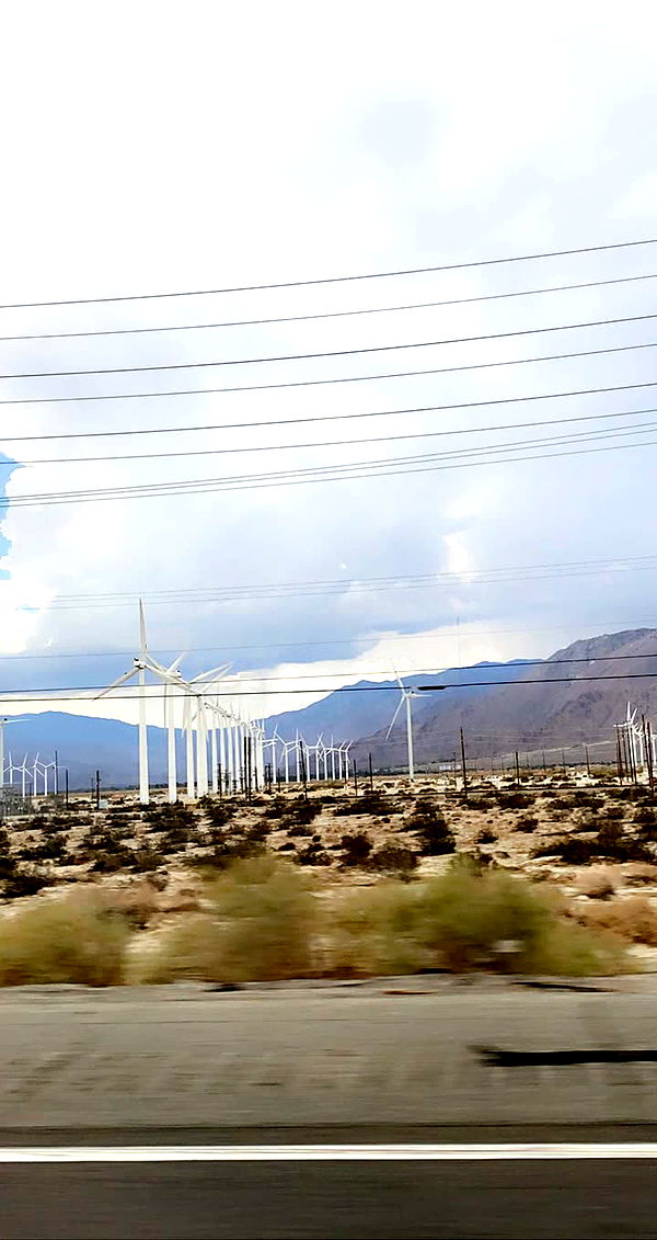 mia_sweitz image ~ Altpins