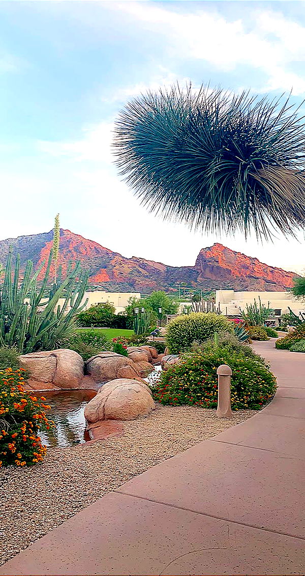 mia_sweitz image ~ Altpins