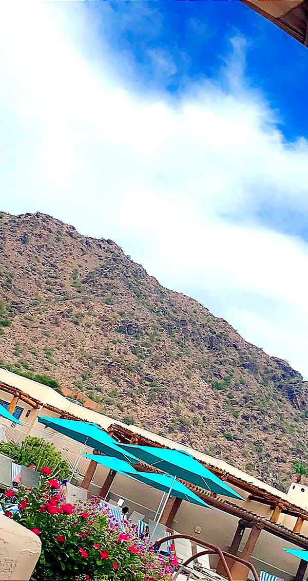 mia_sweitz image ~ Altpins