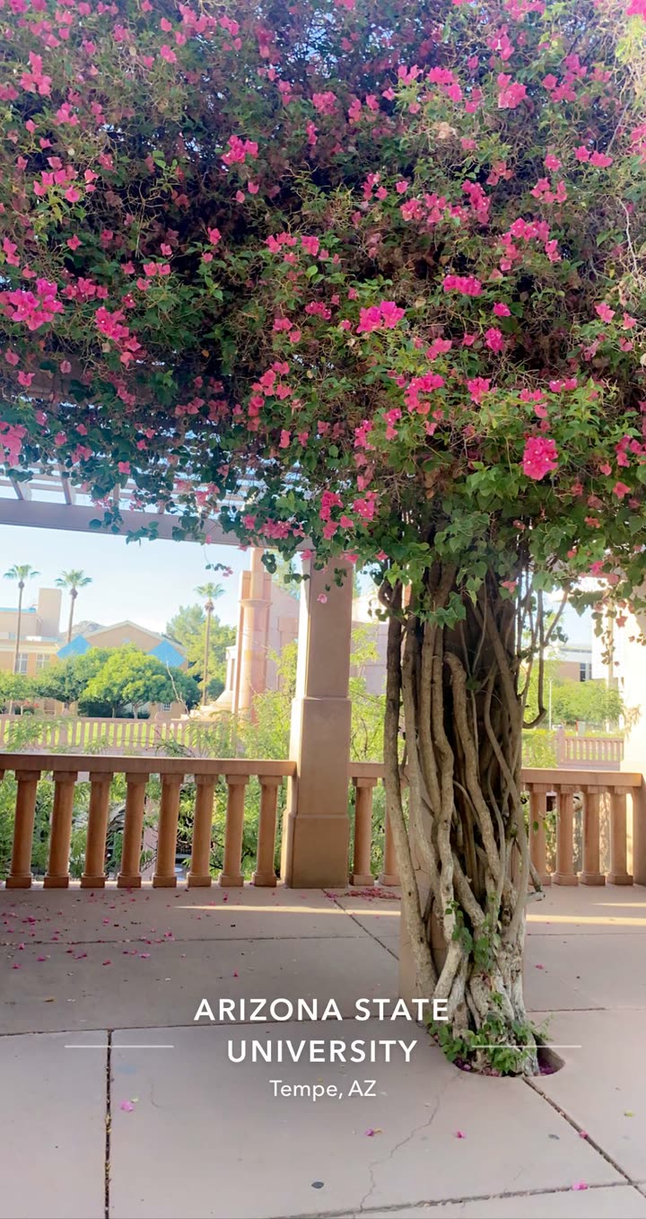 mia_sweitz snapchat image archive image