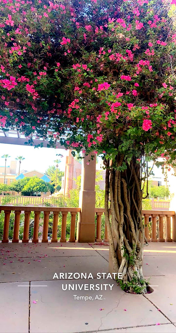 mia_sweitz image ~ Altpins