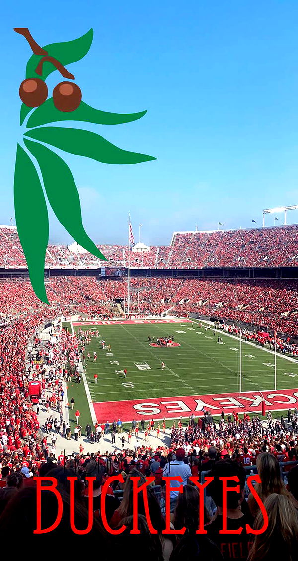 mia_sweitz image ~ Altpins