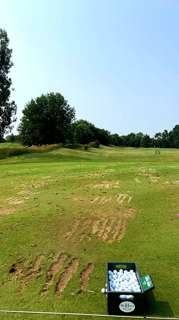 mia_sweitz image ~ Altpins