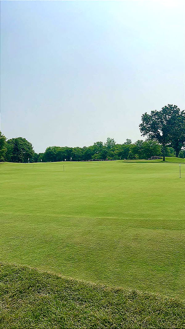 mia_sweitz image ~ Altpins