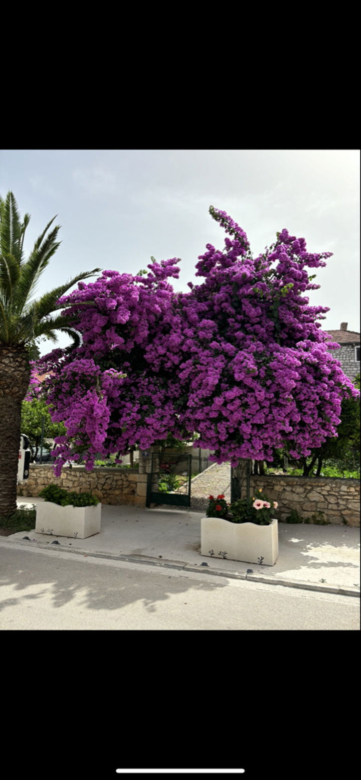 mia_sweitz snapchat image archive image