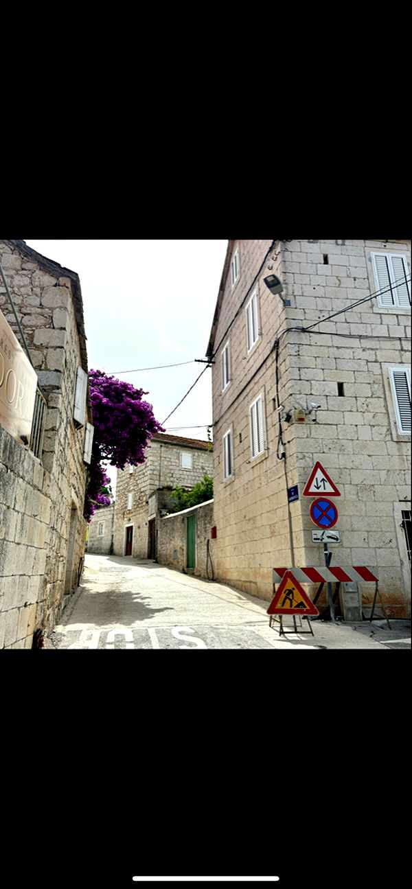 mia_sweitz image ~ Altpins